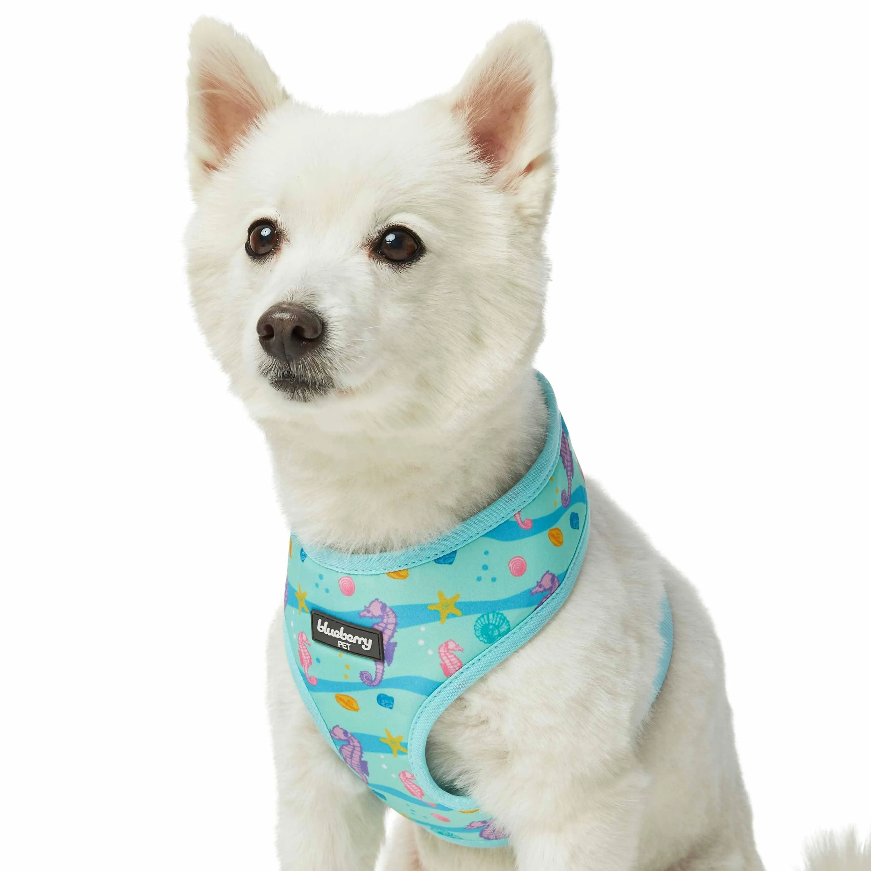 Enchanting Sea Dog Harness Vest