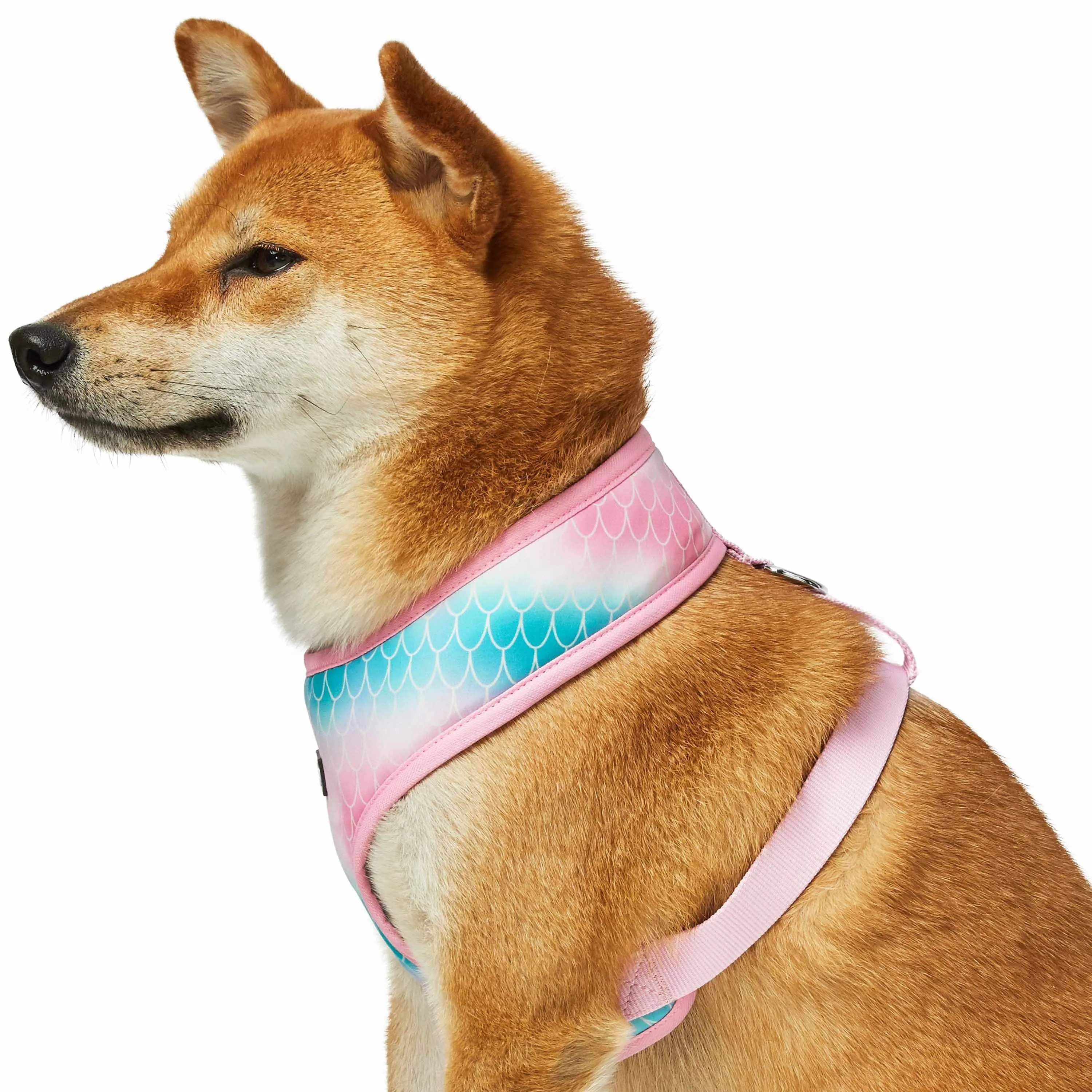 Enchanting Sea Dog Harness Vest