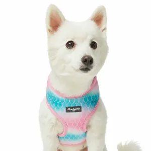 Enchanting Sea Dog Harness Vest