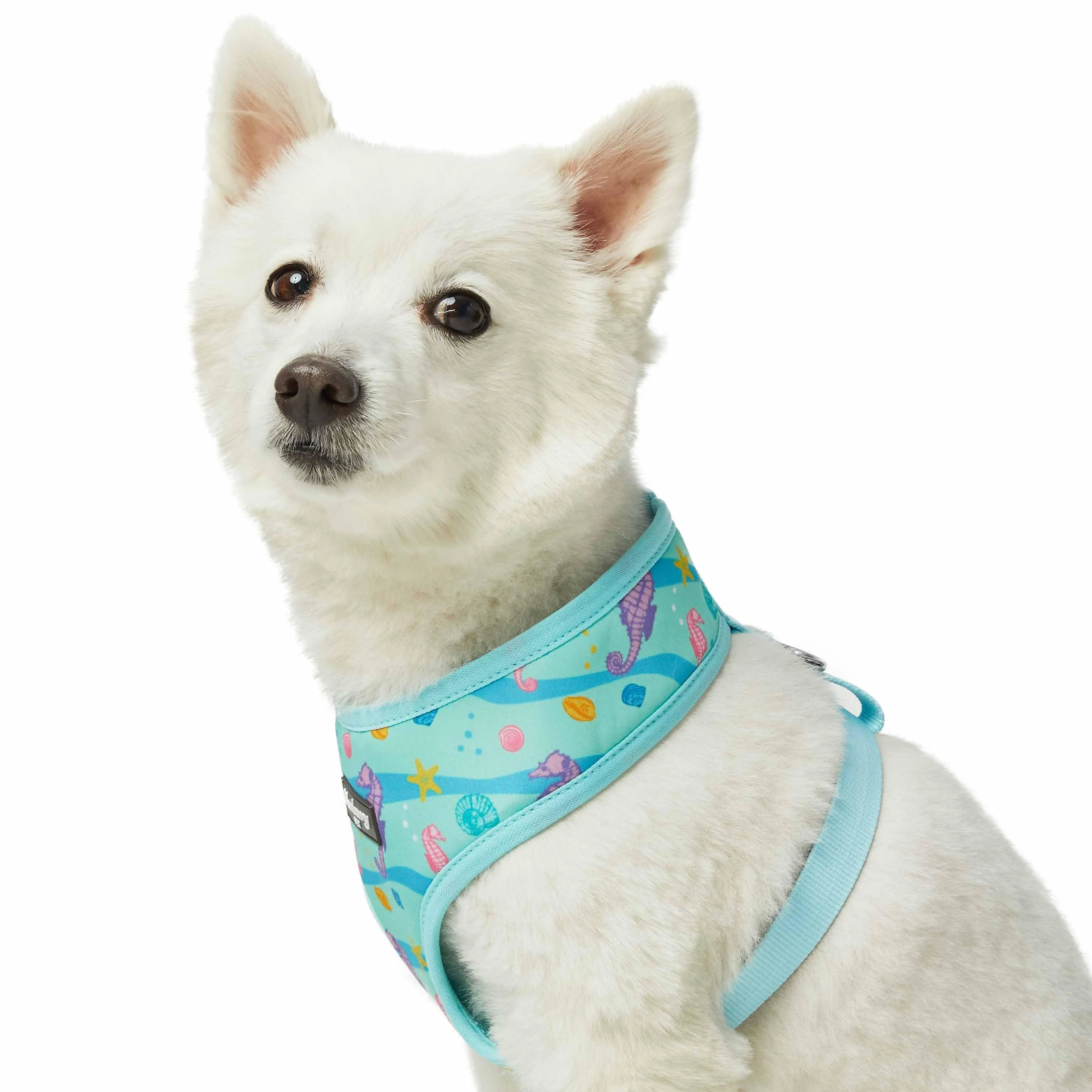 Enchanting Sea Dog Harness Vest