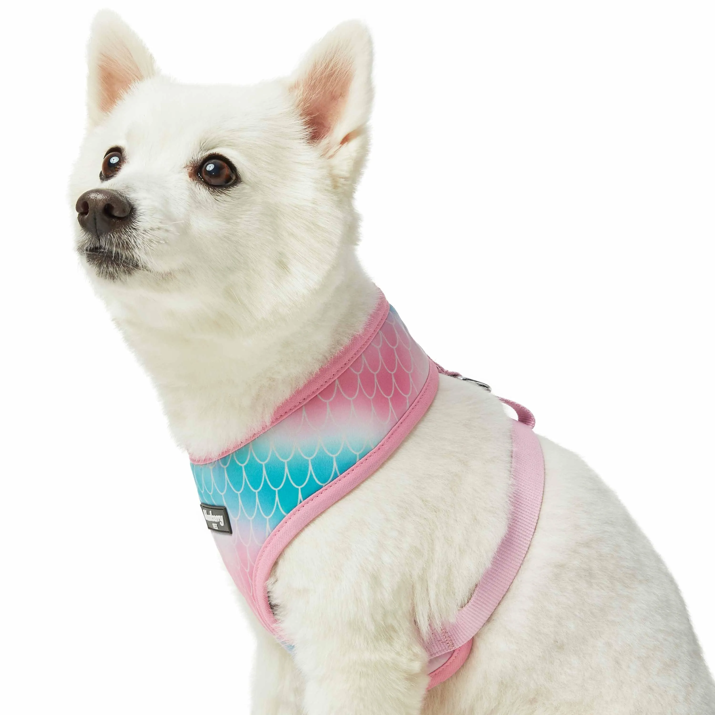 Enchanting Sea Dog Harness Vest